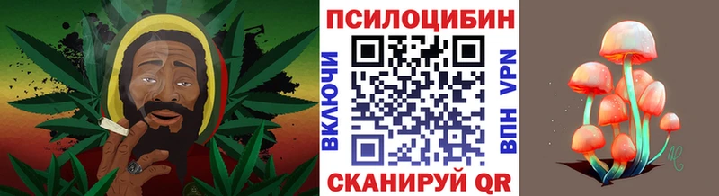 Галлюциногенные грибы Magic Shrooms  сколько стоит  Новый Оскол 