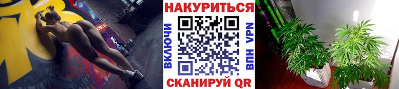 Канабис OG Kush  Новый Оскол 